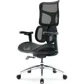 Sihoo Dora S100 ergonomische bureaustoel: zwart frame, zwart mesh