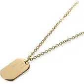 Lucleon Enkele Goudkleurige Dogtag-ketting