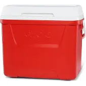 Igloo Laguna 28 - Middelgrote koelbox - 26 Liter - Rood