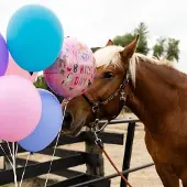 Folat Folieballon Happy Horses Roze (45cm)
