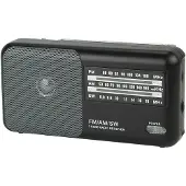 BLOW 77-533#, Draagbaar, Analoog, AM, FM, 87,5 - 108 MHz, 530 - 1600 kHz, 3,5 mm