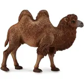 Collecta Figurine - Kameel - (L) - Wilde Dieren - Handgeschilderd - Miniatuur