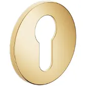 DnD | Cilinderrozet | Bright Gold | Fine