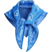 Next Doek blauw / wit