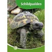 Documentatiecentrum Schildpadden (Hardback)