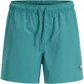 Jack & Jones Heren zwemshort jpstmaui splash magic groen/blauw