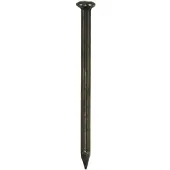 Don-Quichotte Stalennagel 929831 2X25 Bk Gebl 1Kg