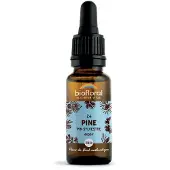 Biofloral Bachbloesems 24 Den Bio 20 ml Druppels