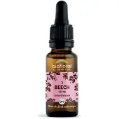 Biofloral Bachbloesems 03 Beuk Bio 20 ml Druppels