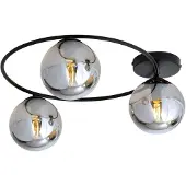 Euluna Plafondlamp Ascella, dimbaar, zwart, Woon-/ Eetkamer, metaal, Modern, plafondlamp