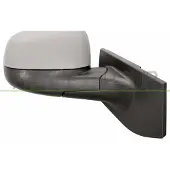 PRASCO Buitenspiegel DW3407313