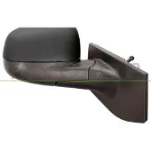 PRASCO Buitenspiegel DW3407113