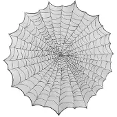 Party Deco Tafelkleed Rond Spinnenweb (124cm)