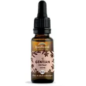 Biofloral Bachbloesems 12 Gentiaan Bio 20 ml Druppels