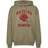 s.Oliver Sweatshirt groen