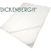 Vandyck All Year Light Dekbed Excellent 450 95% Ganzendons-140 x 220 cm