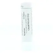 Homeoden Heel Causticum D12 6 gram granules