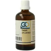 Go Fagus sylvatica bio