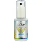 Lichtwesen Gabriel tinctuur 26 30 ml