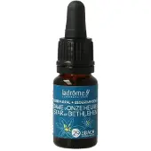 La Drome Star of bethlehem biologisch 10 ml