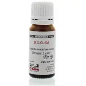 Dnh BCG-VA