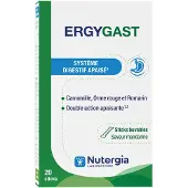 Nutergia Ergygast 20 St Zakje
