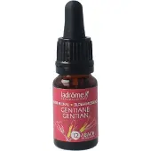 La Drome Gentian bio