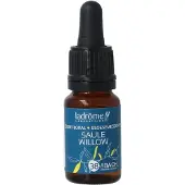 La Drome Willow bio
