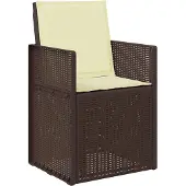 vidaXL Tuinstoelen 2 st Bruin en crèmekleurig PP