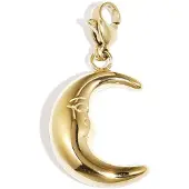 Yehwang Moon Cham | Bedel Maan | RVS (verkleurt niet) | Goudkleurig |