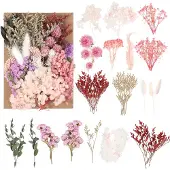 Unyqoos Kleurrijke Gedroogde Bloemen Set voor Creatieve Doe-Het-Zelf Projecten