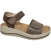 Hartjes 132.2002 Woogie Sandalen | Maat 39 Dames Bruin