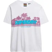 Superdry Shirt turquoise / braam / wit