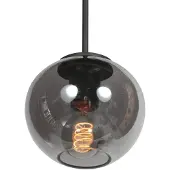 Steinhauer HaloSwap 4291ZW – Zwarte hanglamp met stijlvol smoke-kleurig glas