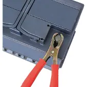 Carpoint Accupooltang 120 AMP 2 stuks