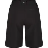 Regatta Damesshort Xert | Maat 42