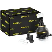 RIDEX 2462S0019P Fuseekogel