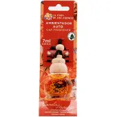 La Casa de los Aromas Auto verfrisser Kaneel en Sinaasappel 7ml