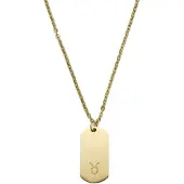 Lucleon Goudkleurige Stalen Ketting met Sterrenbeeld Stier
