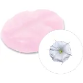 Scentchips Maanbloem - Geurblokjes - Huisparfum - Geurchips - Waxmelts - Geschikt voor Geurbrander en Waxbrander - L - 26 Stuks