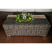 Sonstige Verlage Glazen bijzettafel – Tuintafel van rotan – Salontafel – 100 cm