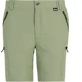 Regatta Wandelshorts Leesville III | Maat 40