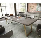 DELIFE Eetkamertafel Edge acacia platina 260x100 XL roestvrij staal Gold schuin Live-Egde