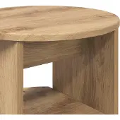 vidaXL Bijzetkast 2 st Artisan Eik Ø40 x 50 cm Geconstrueerd hout