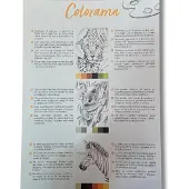 Clairefontaine A4-kleurboek voor verschillende technieken, 20 vellen, Odelia Les animaux