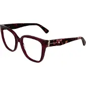 Longchamp LO2745 54/17/140 Transparant bordeaux Acetaat DAMES LO2745