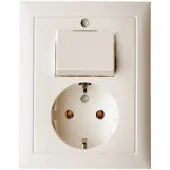 Hager Berker S1 Combinatieschakelaar wandcontactdoos met afdekplaat - 6143568942