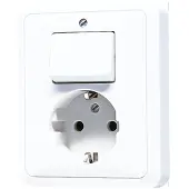 JUNG CD500 Gecombineerde Schakelaar Stopcontact Met Aardcontact - 5576EUWW