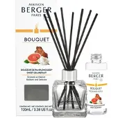 Maison Berger Geurstokjes Cube 100ML Douceur De Pamplemousse