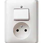Gira Combinatiestopcontactschakelaar Systeem 55 Zuiver Wit - 047603